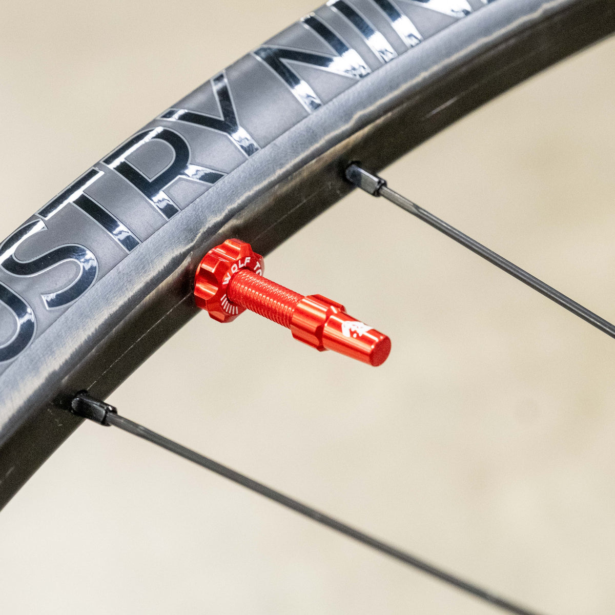 Tires & Tubeless