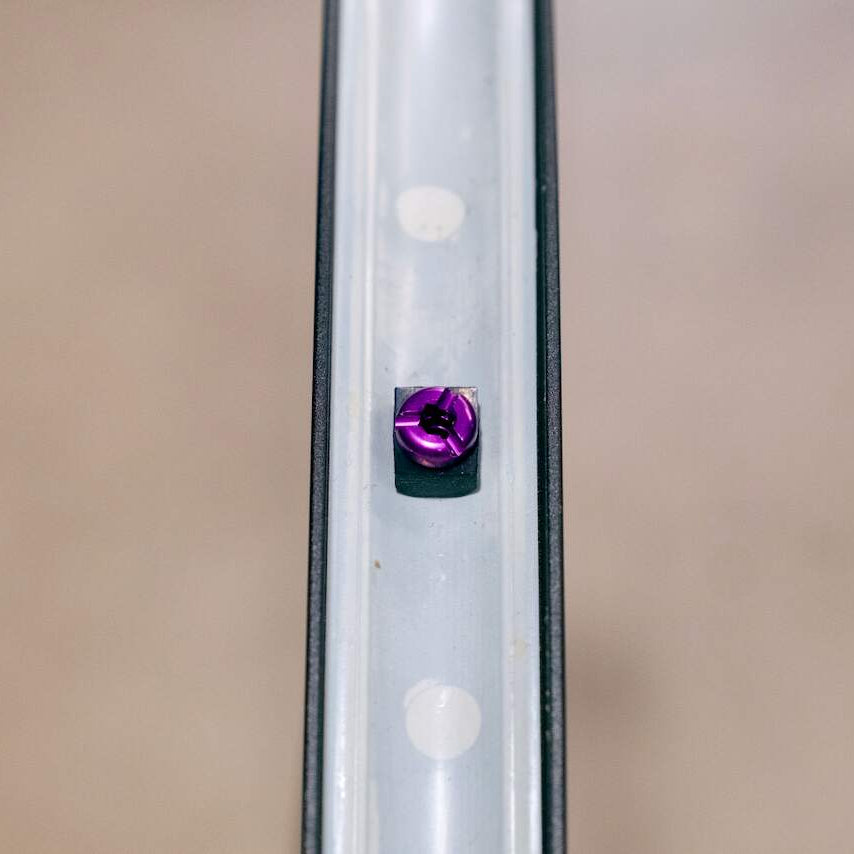Wolf Tooth Tubeless Presta Valve Stem Kit, purple valve base seen from inside the rim
