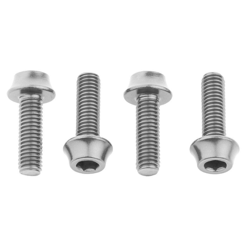 Wolf Tooth Water Bottle Cage Bolts, Raw Silver